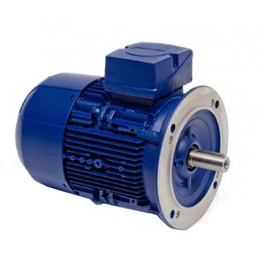 BIRKENBEAL電機 6APE112M-4