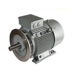 電機(jī) 7AA90L02