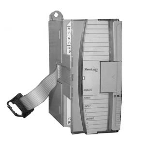 Allen Bradley模擬梳狀模塊 1762-IF2OF2