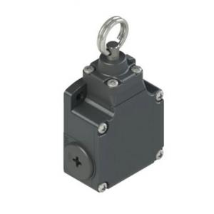 PIZZATO限位開關(guān) FL 576-M2