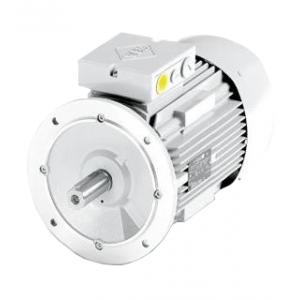 VEM電機 IE2-WE1R 160M 4 TPM HW