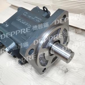 RICKMEIERR65型齒輪泵 供給泵 R65/200 FL-Z-DB16-W-SAE3-R-P 