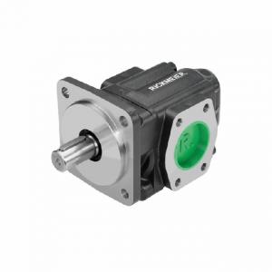 RICKMEIER齒輪泵 油泵 R65/250  R65/250 FL-Z-W-SAE3-R-P