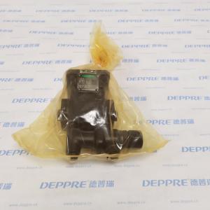 RICKMEIERR25/8 FL-Z-DB-SO 齒輪泵