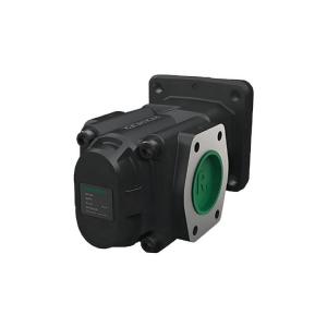 RICKMEIERR36/100 FL-Z-WD-SAE2-R 齒輪泵