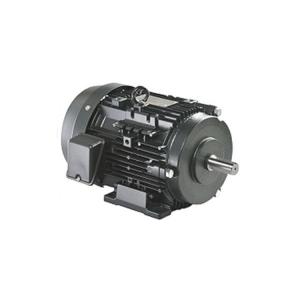 電機(jī) IKKH3-FCKLA21E 7.5kW 2P原裝進(jìn)口