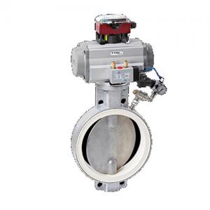 WAREX蝶閥DKZ 110 APS ?DZ