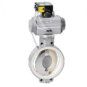 WAREX蝶閥DKZ 110 APS ?DZ-P