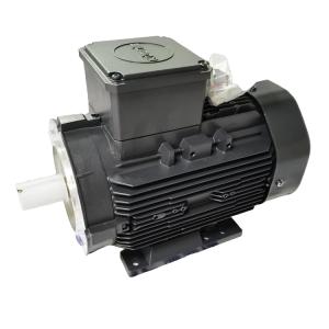 三相異步電機(jī) KTE3 90 L 4 HYD IE3 /6197972