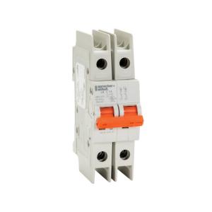 塑料外殼斷路器 L9-25/2/C