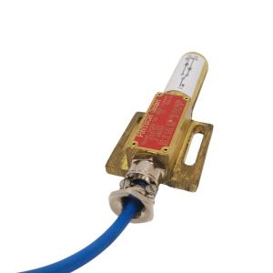 磁性開關(guān) IK77L115D