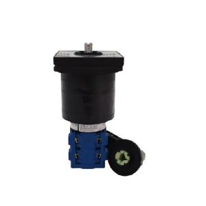 DH10-1.A-G925*990PEP.KN1F 旋轉(zhuǎn)開(kāi)關(guān)