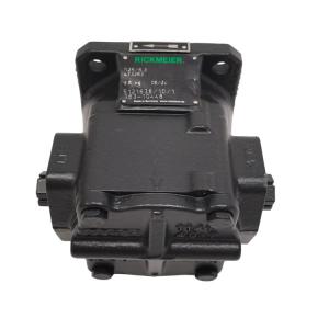 R25/6,3 FL-Z-W-G3/4-R-P 油泵