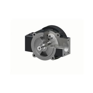 R4.5/035 FL-Z-G050-UNI-SD010 齒輪泵