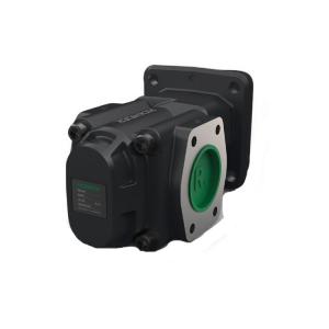 R36/112 FL-Z-W-SAE2-L 齒輪泵