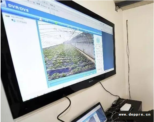 物聯(lián)網(wǎng)+傳感器技術(shù)推動智慧農(nóng)業(yè)發(fā)展