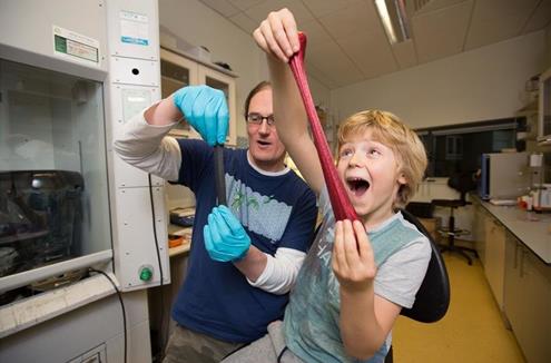 傳感器新材料：石墨烯與橡皮泥的結(jié)合