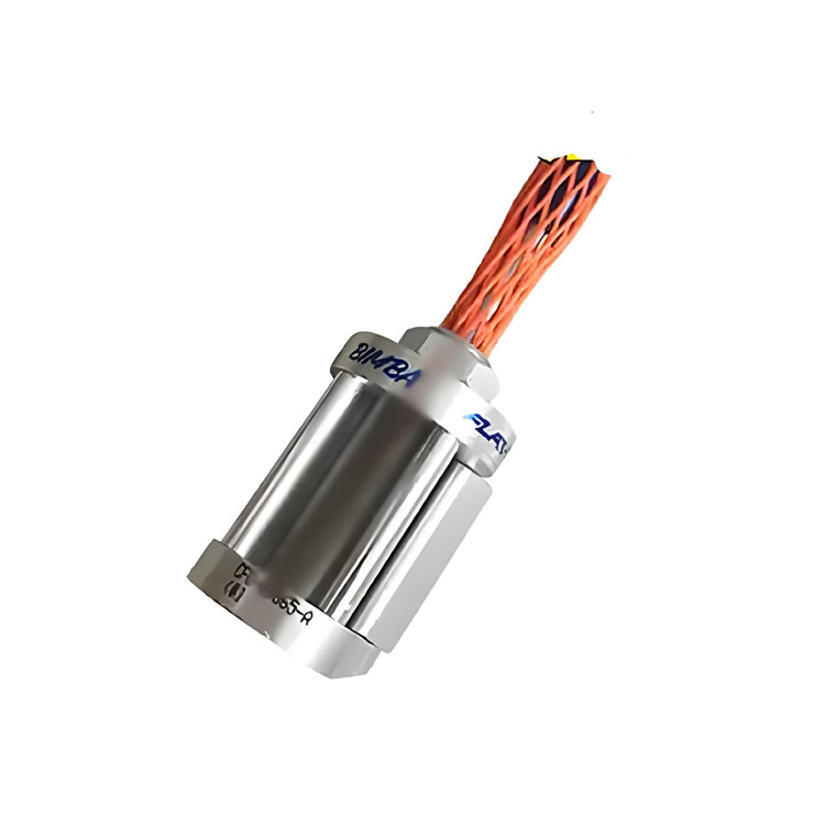 1754465372659709.jpg Bimba_CFO-09865-A_001A.jpg